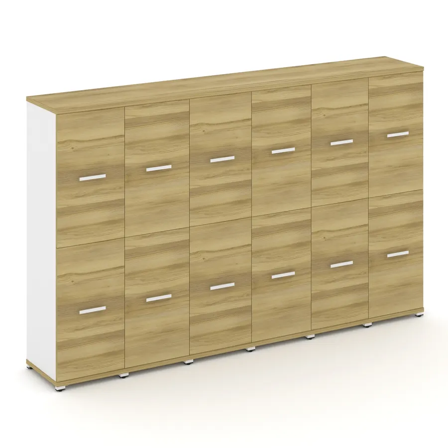 Концепт Шкаф 6 узких секций, 4 ниши CN.STU-462 W 2500*420*